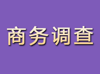 恩平商务调查